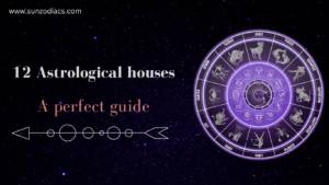12 astrological houses
